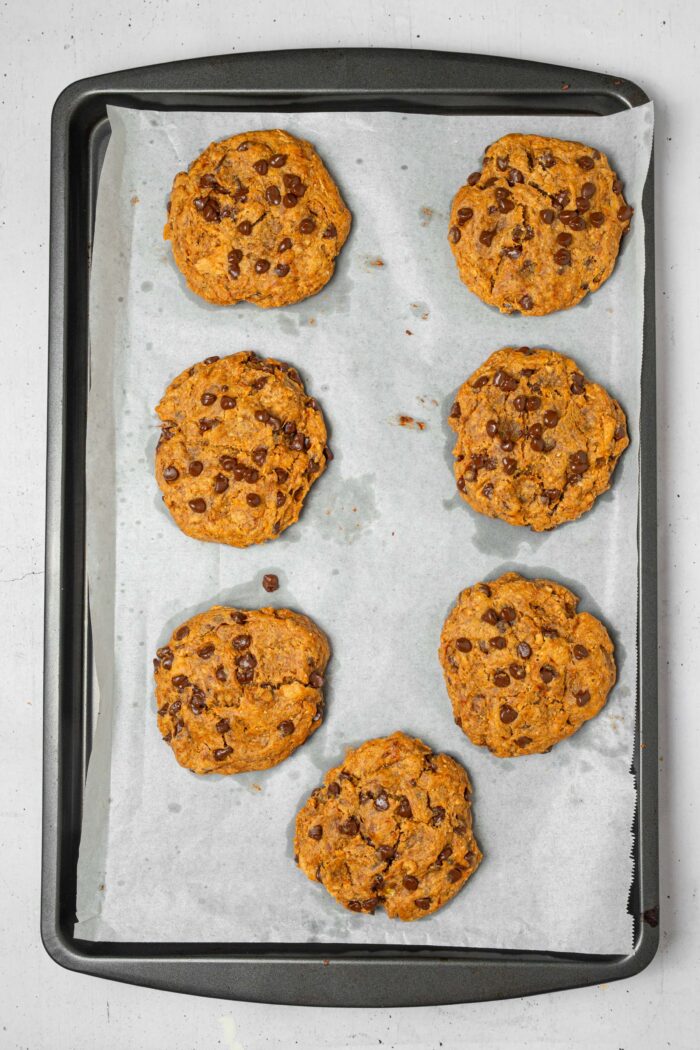 Freshly baked vegan protein cookies.